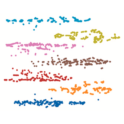 DimenFix applied to the Segmentation Dataset