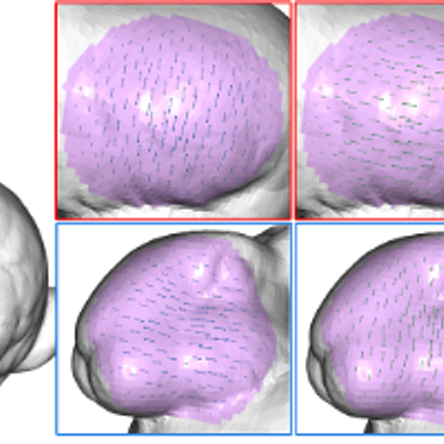 Examples of localized tensor fields computed with our construction are shown.