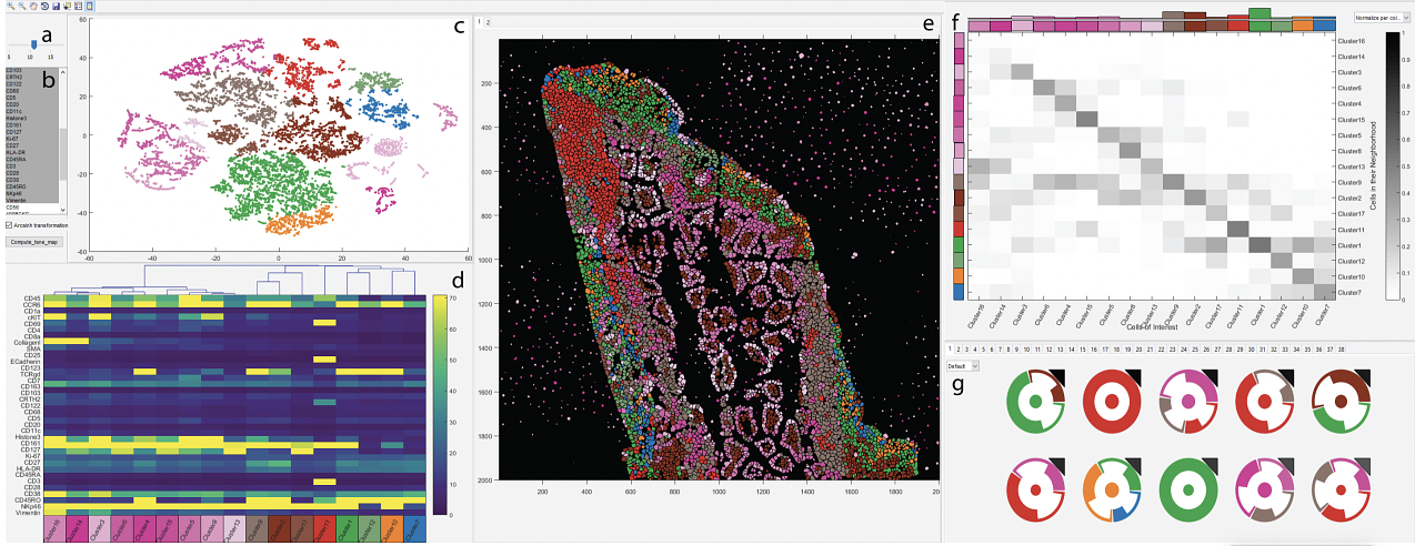 ImaCytE. Screenshot of our integrated system including the settings panels (a,b), the embedding view (c), the heatmap view (d) for cluster visualization, the image view (e), the interactions heatmap (f), and the motif view (g).