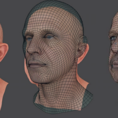 The template mesh warped to an input head model. A low-resolution template is shown for illustrative purposes