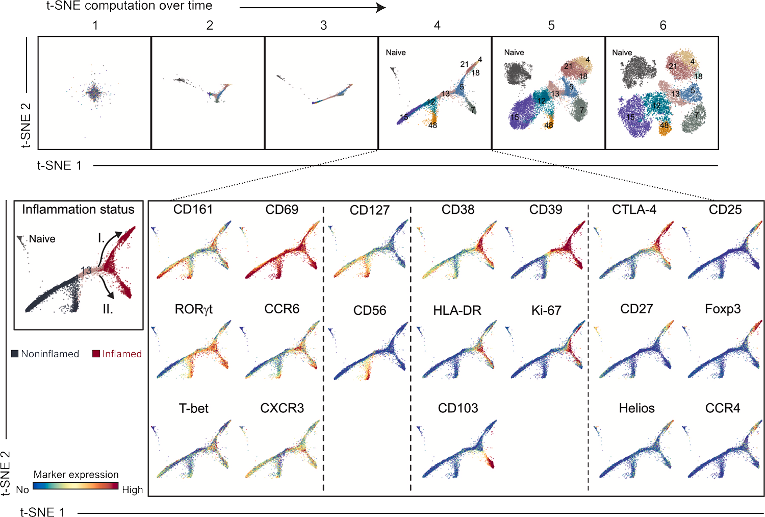 Potential differentiation trajectories of CD4 clusters during inflammation.