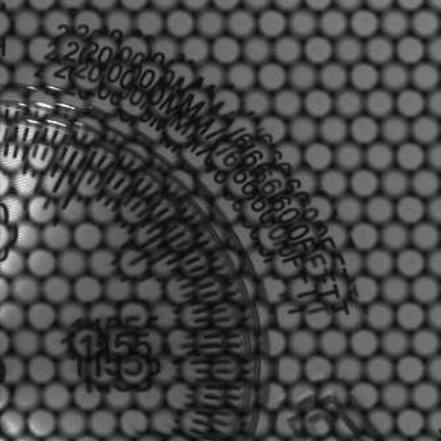 Detail of a raw image captured by a plenoptic 2.0 camera by Raytrix