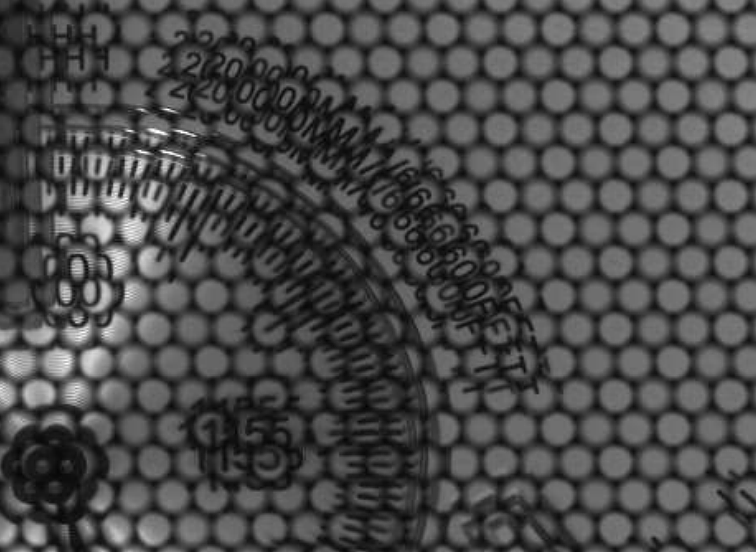 Detail of a raw image captured by a plenoptic 2.0 camera by Raytrix