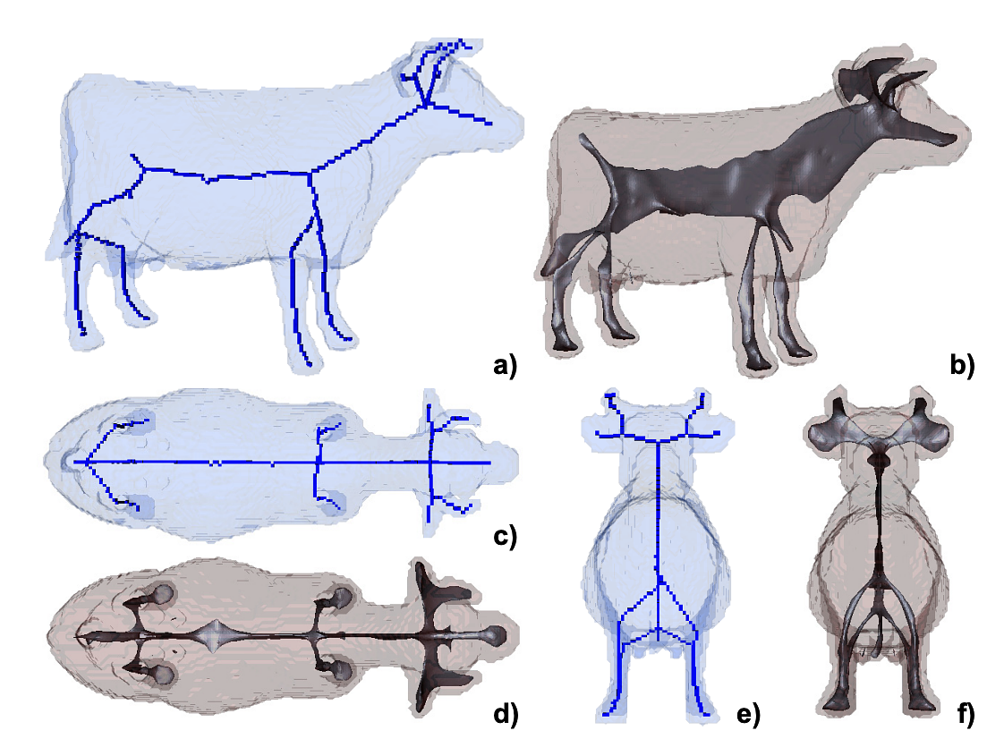 3D skeletons (b,d,f ) and centerlines (a,c,e) of the same object, different views