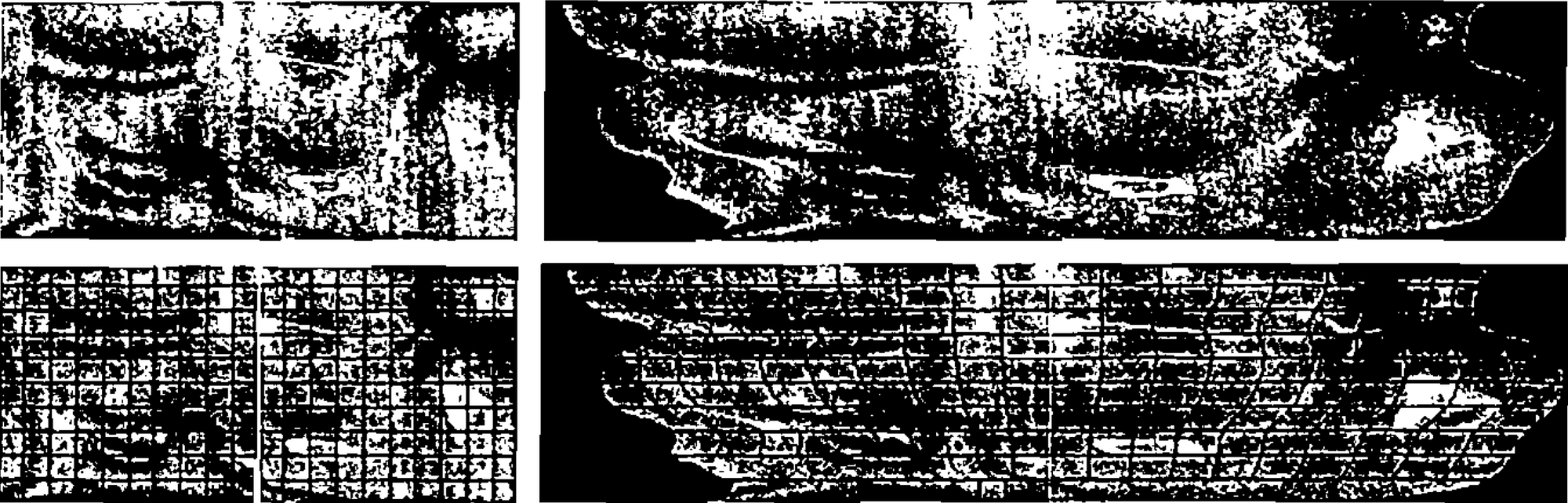 a) Constant angle sampling of the organ surface. b) Same camera position as a) but with perimeter sampling