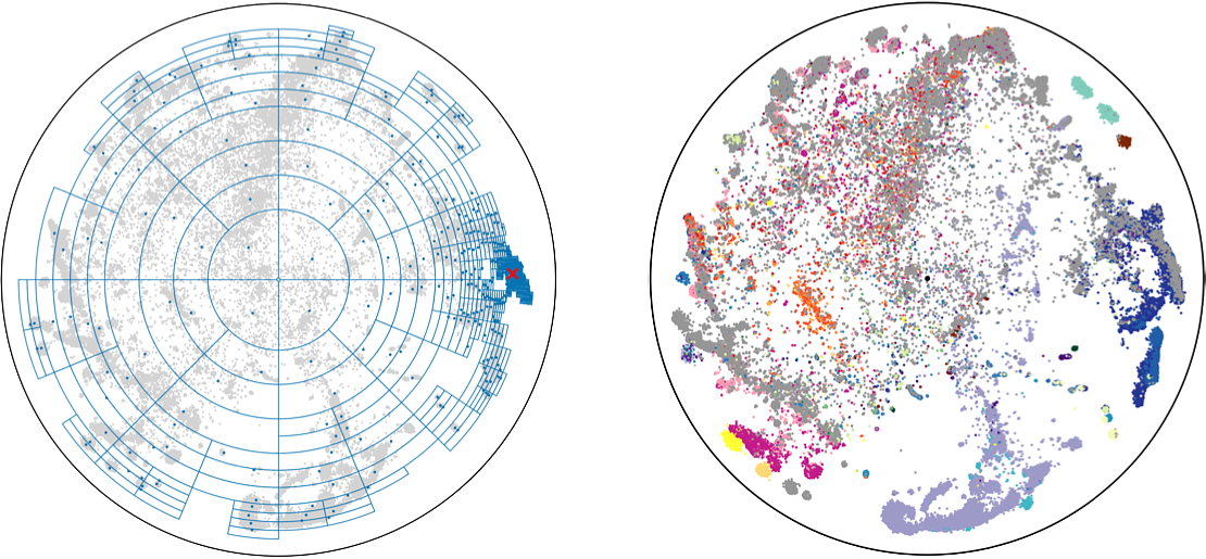 Hyperbolic Embedding of the C.Elegans Dataset (right) and the Corresponding Quadtree