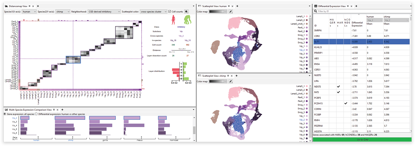 Screenshot of Cytosplore Simian Viewer